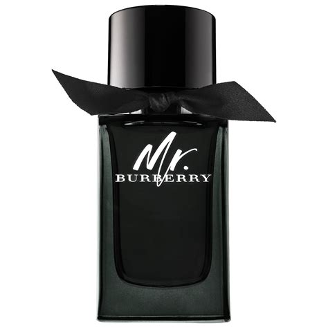 mr burberry sephora|where to buy mr burberry.